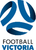 FV logo